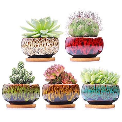 Best Pots For Succulents Stylish And Space Saving Choices Simplify