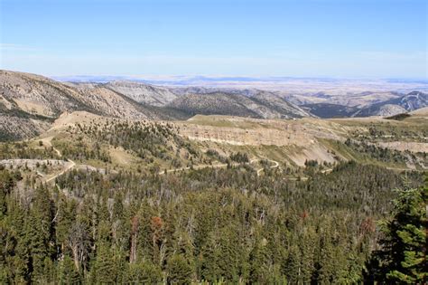 Living And Dyeing Under The Big Sky Picket Pin Road In The Beartooth