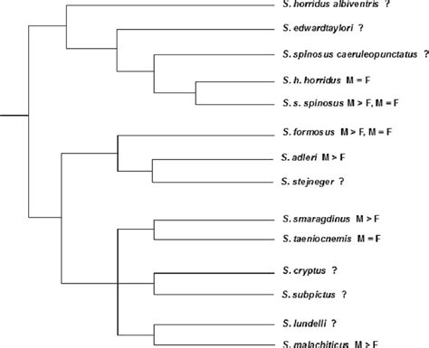 Patterns Of Sexual Size Dimorphism In Species Of Sceloporus In The