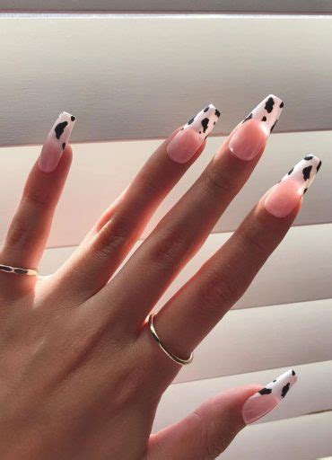 Moo Ve Over Chic Cow Print Nail Designs Cow Print French Tip Sheer