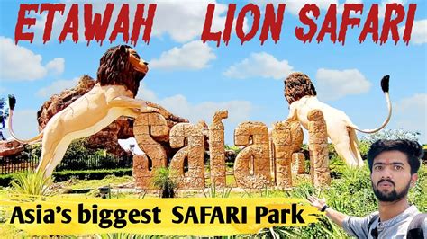 Lion Safari Park Etawah Etawah Lion Safari Park Biggest Safari