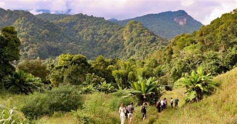 Chiang Mai Doi Inthanon Highlights And Hiking Private Tour Getyourguide