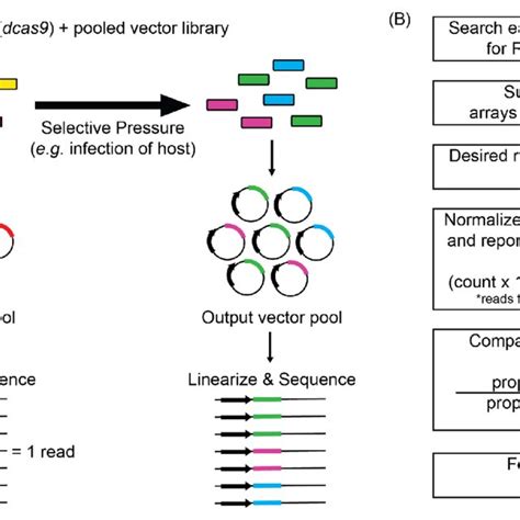 Schematic Overview Of The Experimental And Bioinformatics Pipeline Of