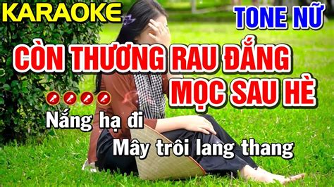 CÒN THƯƠNG RAU ĐẮNG MỌC SAU HÈ Karaoke Nhạc Sống Tone Nữ Tình Trần