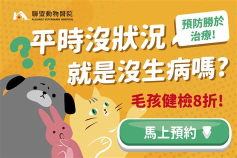 狗狗健檢項目一次搞懂 聯盟寵知識 聯盟動物醫院