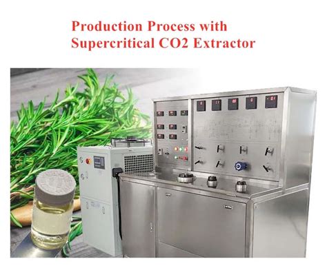 Patchouli Essential Oil Supercritical CO2 Extraction Buy Product On