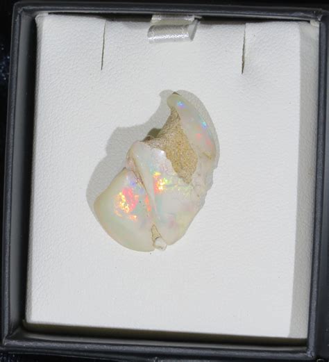 Australian Solid White Opal Shell Opalised Jasmine Opals