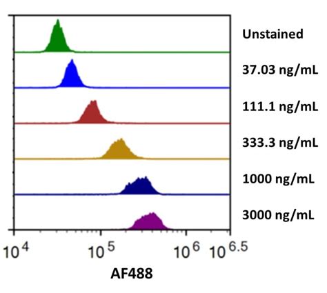 Recombinant Human B H Fc Chimera Alexa Fluor Protein Afg