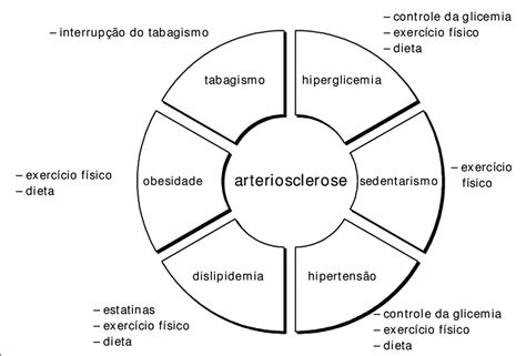 Opções Terapêuticas Visando à Minimização Dos Fatores De Risco