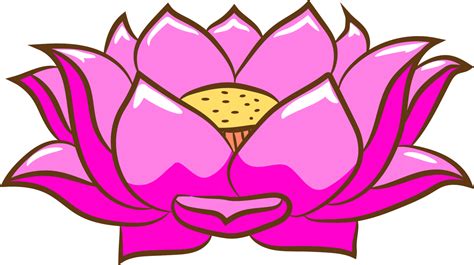 Lotus Flower Graphic Png