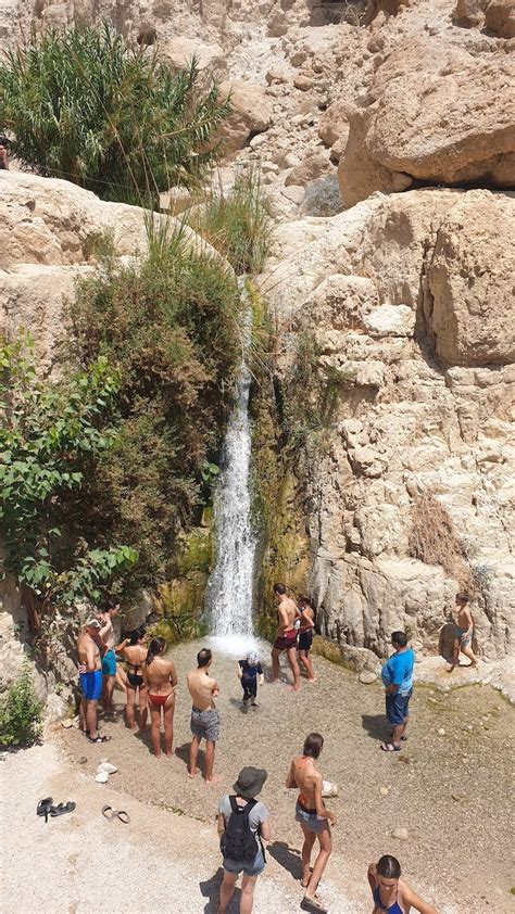 Reserva Natural De Ein Gedi Israel Viaje Comigo