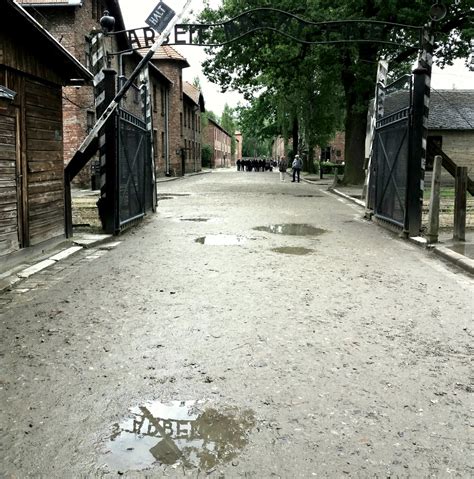 One day in Auschwitz-Birkenau Memorial and Museum – Cooltowy Polski