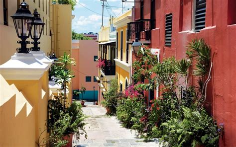 The Ultimate Art Lovers Guide To Puerto Rico Galerie Magazine