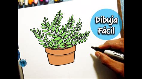 Como Dibujar Plantas F Cil How To Draw A Plant Easy Youtube