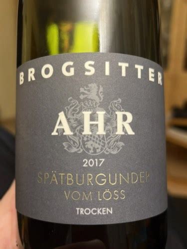 Brogsitter Vom Löss Spätburgunder Trocken Vivino US