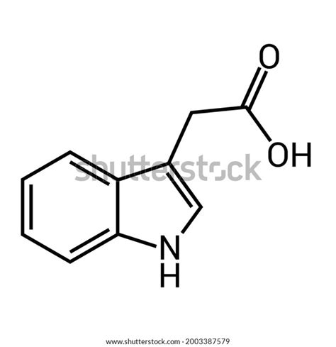 Phytohormones: Over 69 Royalty-Free Licensable Stock Vectors & Vector ...