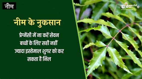 Neem Immunity Booster Kadha Popular In Corornavirus Neem All Benefits And Side Effects On Health