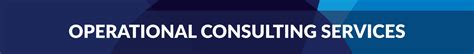 consulting operational services