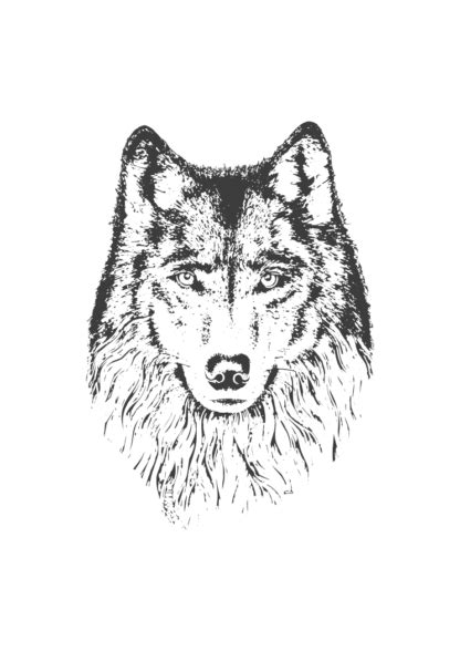 Wolf Head Art Free Svg File Svg Heart