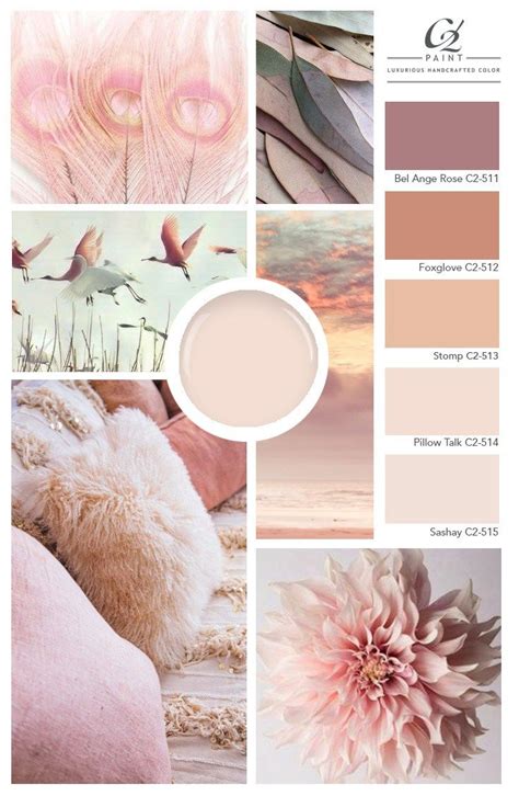 Mood Board Blush Mood Boards