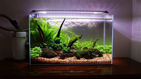 Pin On Beginner Aquascaping Ideas