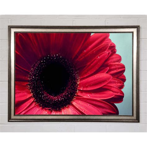 Ebern Designs Gerbera Flower Deep Red Einzelner Bilderrahmen