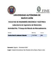 Actividad Fundamental Ensayo De La Mezcla De La Mercadotecnia Pdf