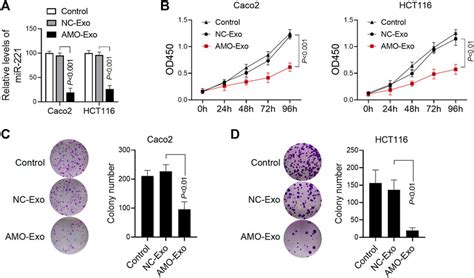 Frontiers Delivery Of Anti Mirna 221 For Colorectal Carcinoma Therapy