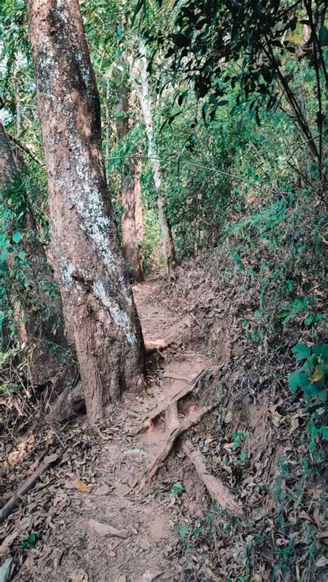 How To Climb Pha Daeng Peak In Laos Nong Khiaw Viewpoint