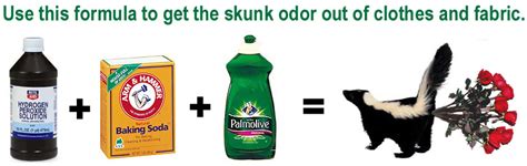 How to Remove Skunk Smell from Clothes, Car, or Fabric