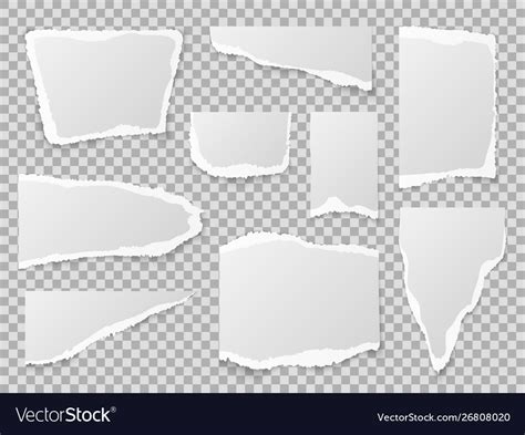 Torn paper different shapes papers scraps Vector Image