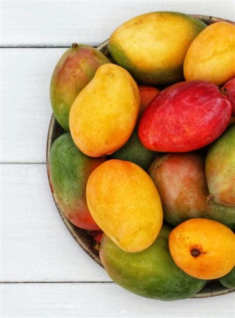 Guide 11 Different Mango Types
