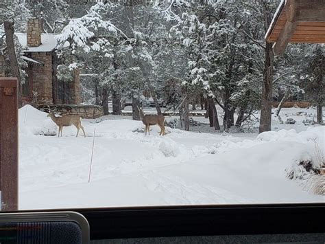 Pin By Helen Lee On Natgeo Outdoor Snow