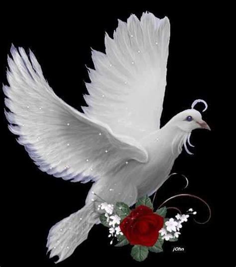 1000+ images about holy spirit doves on Pinterest | Holy ghost, The father and Baptisms