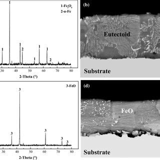 Xrd Patterns And Cross Sectional Morphologies Of The Oxide Scale After