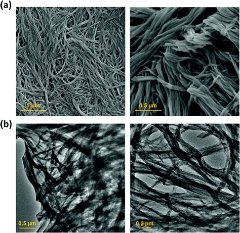 Ultrasound Induced Gelation Of A Giant Macrocycle Chemical