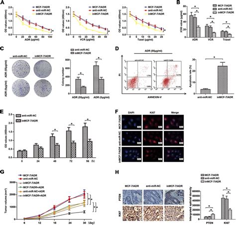 Down Regulation Of MiR 130b Enhanced Chemosensitivity And Reduced