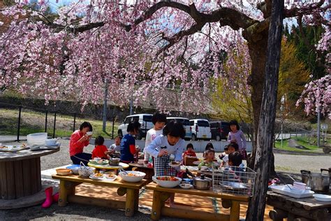 大湯保育園 社会福祉法人 愛生会 ｜ 桜の木の下で