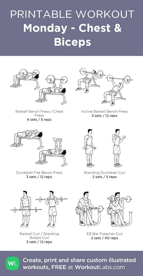 Easy Chest And Arm Workout Background Arm And Back Workout