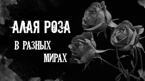 Алая роза. Страшные истории на ночь. Мистика. - YouTube