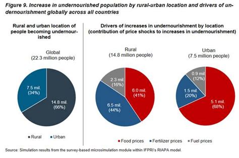 Russia Ukraine War And The Global Crisis Impacts On Poverty And Food