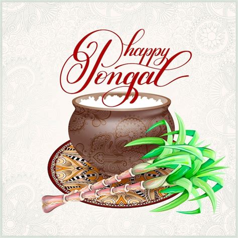 Feliz Tarjeta De Felicitaci N De Pongal A La Ilustraci N De Vector Del