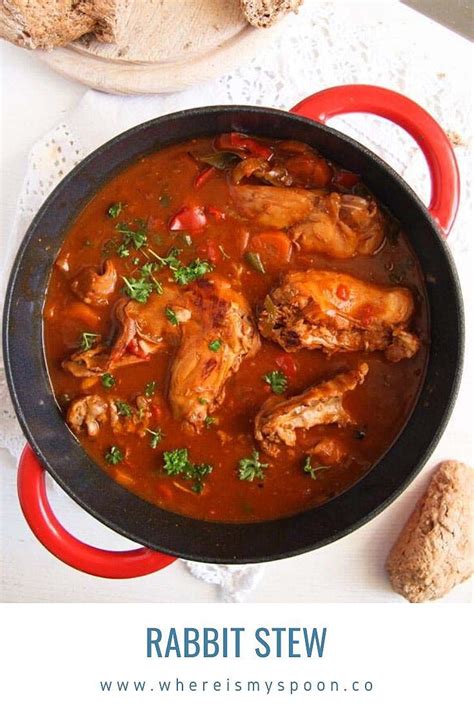 Slow Cooked Rabbit Stew Recipes Spicy