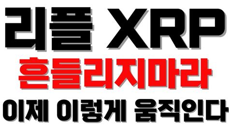 리플 Xrp 흔들리지마라 이제 이렇게 움직인다 Youtube