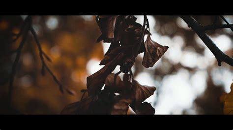 Sony A7iii Cinematic Video Autumn Colours Youtube