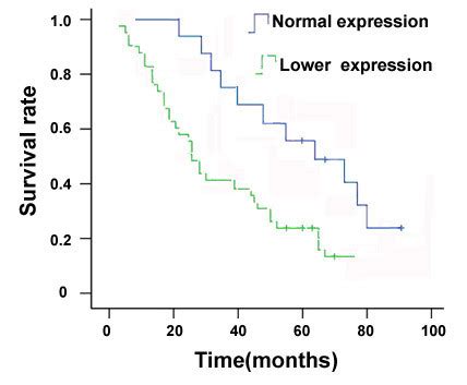 Relationship Between Naked Expression In Nsclc And Postoperative