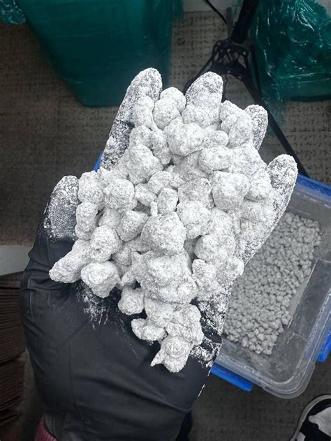 Snow Caps Weed Weed Snow Caps Snow Cap Weed Snowballs Weed
