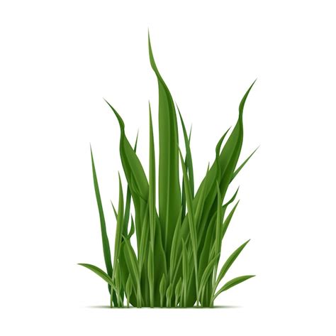 Premium Vector Realistic Green Grass Blades Grow In Dense Cluster