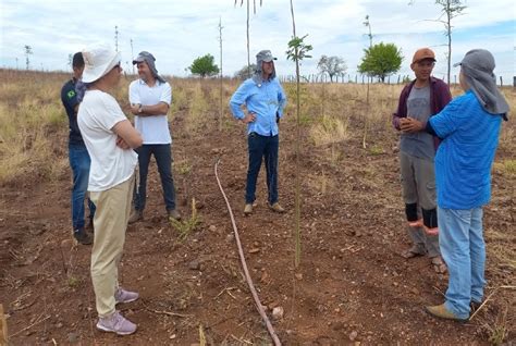 Projeto avalia saúde do solo e segurança alimentar e nutricional de