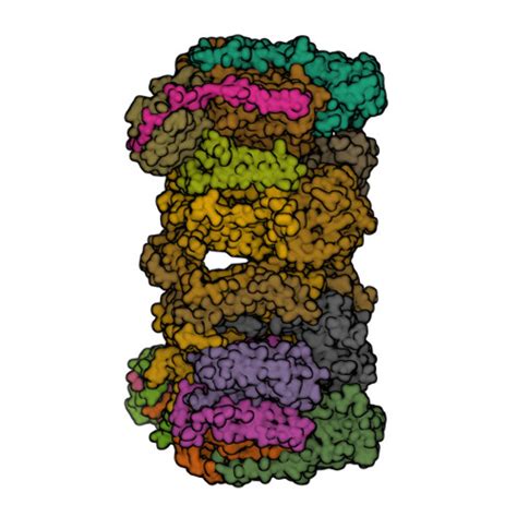 RCSB PDB 7E1V Cryo EM Structure Of Apo Hybrid Respiratory